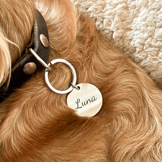 Honden Penning